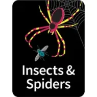 Flare Genre Subject Label " Insects & Spiders ". PD138-4248