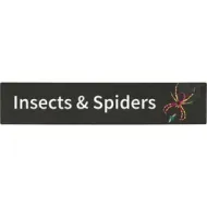 Bookshelf Sign " Insects & Spiders". PD138-4281